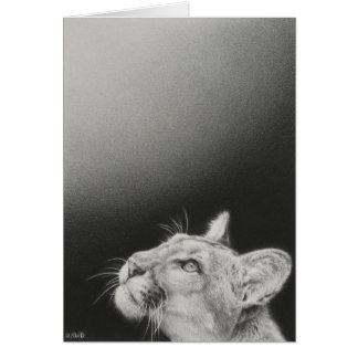 Carte vierge de puma par Andrew Denman