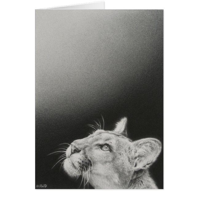 Carte vierge de puma par Andrew Denman (Devant)