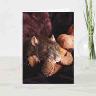 Carte vierge de rat