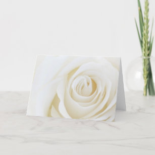 Carte vierge de rose blanc