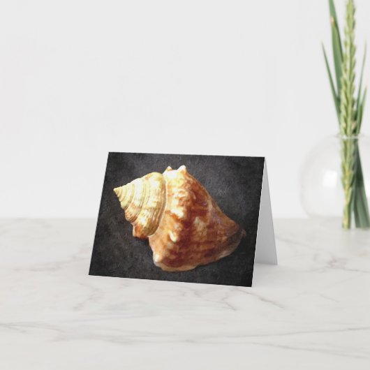 Carte vierge de Shell de mer (Devant)
