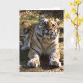 Carte vierge de tigre (Fleur jaune)