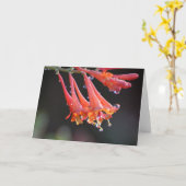 Carte vierge - Dew du matin (Fleur jaune)