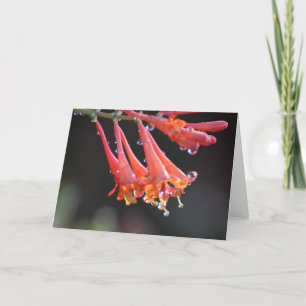 Carte vierge - Dew du matin