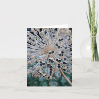 Carte vierge d'explosion de cosse de graine