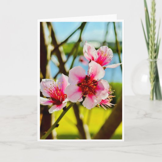 Carte vierge Fleurs de printemps (Devant)