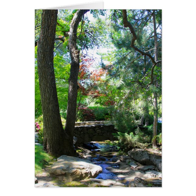 Carte vierge, flux et pont (Devant)