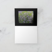 Carte vierge inspirée de lavande (Intérieur)