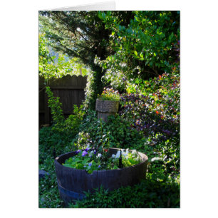 Carte vierge, jardin d'alto