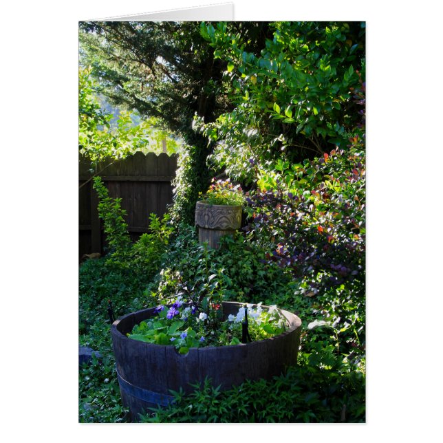 Carte vierge, Jardin Viola (Devant)