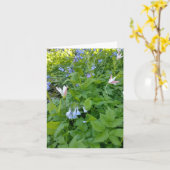 Carte vierge Philippiens 4:4 (Fleur jaune)