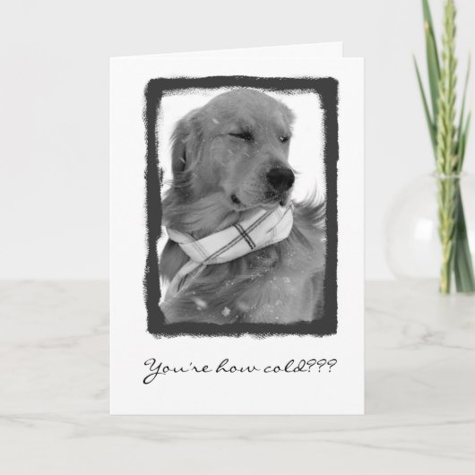 Carte Vieux ! (Devant)