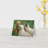 Carte Vieux amis (Fleur jaune)