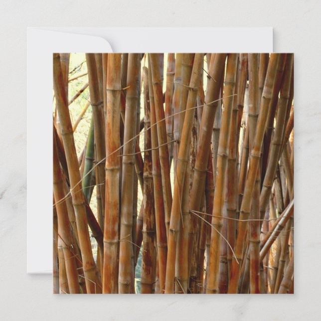 Carte Vieux Bambou (Devant)