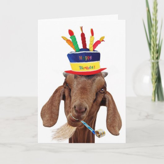 Carte Vieux Bouc (Devant)