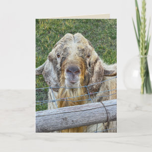 Carte Vieux bouc drôle personnalisable pour un anniversa