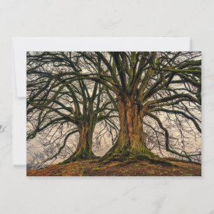 Carte Vieux chêne en hiver