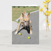 Carte Vieux chien (Fleur jaune)