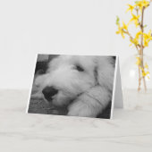 Carte Vieux chien de berger anglais (Fleur jaune)