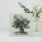 Carte Vieux olivier (Debout devant)