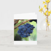 Carte vigne et branches (Fleur jaune)