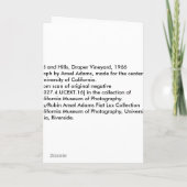 Carte Vignoble et collines, Draper Vineyard, 1966 (Dos)