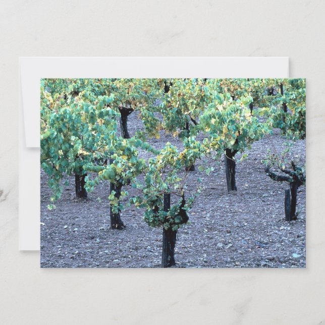 Carte Vignoble, Napa Valley, Californie de la forêt (Devant)