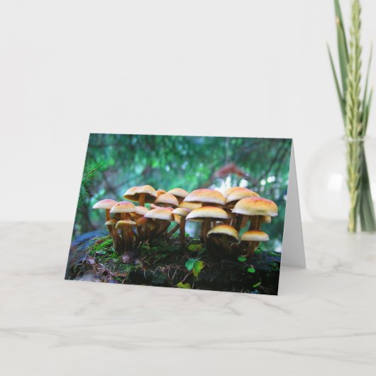 Carte village de champignons (Devant)