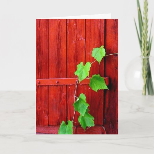 Carte Vin de la Barne Rouge (Devant)
