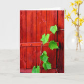 Carte Vin de la Barne Rouge (Fleur jaune)