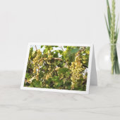 Carte Vin de raisin blanc sur clôture (Devant)