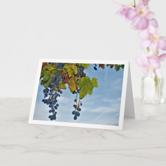 Carte Vin de raisin rouge dans le ciel bleu (Orchidée)