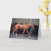 Carte Vin Rosso - Todd Pletcher (Fleur jaune)