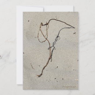 Carte Vin/Standing Rock, Plage de Cannon, Oregon