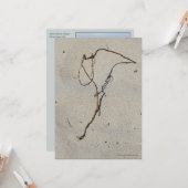 Carte Vin/Standing Rock, Plage de Cannon, Oregon (Devant/Arrière en situation)