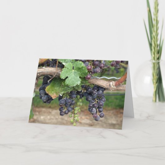 Carte Vin sur la vigne (Devant)