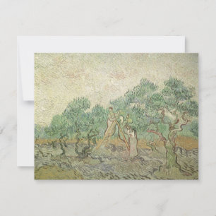 Carte Vincent van Gogh - Cueillette des olives