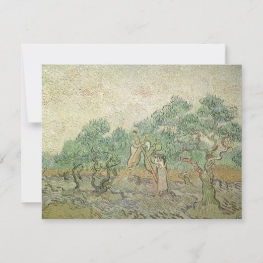 Carte Vincent van Gogh - Cueillette des olives (Devant)