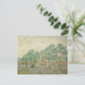 Carte Vincent van Gogh - Cueillette des olives (Debout devant)