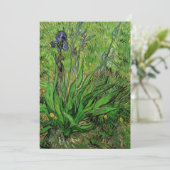 Carte Vincent van Gogh - Iris (Debout devant)