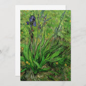 Carte Vincent van Gogh - Iris (Devant / Derrière)