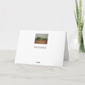 Carte Vincent van Gogh - Oliviers (Dos)