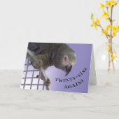 Carte Vingt-neuf encore (Fleur jaune)