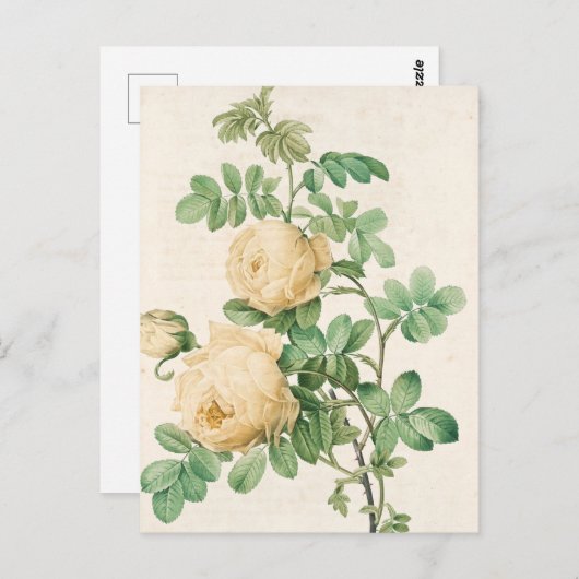 Carte vintage (Devant / Derrière)