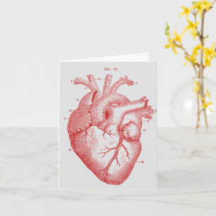 Carte vintage anatomique de notes cardiaques humai