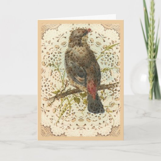 Carte Vintage Bird and Doilie (Devant)