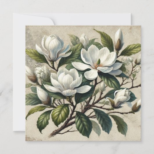Carte Vintage blanc Magnolia Botanique (Devant)