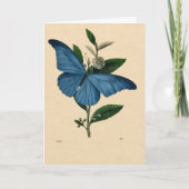 Carte Vintage Bleu Papillon (Devant)