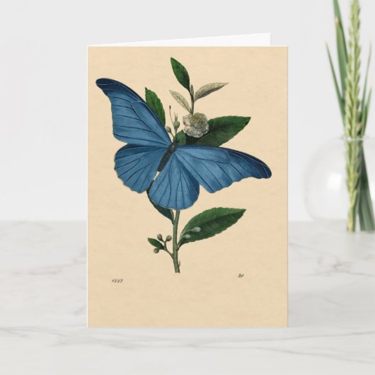 Carte Vintage Bleu Papillon (Devant)