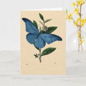 Carte Vintage Bleu Papillon (Fleur jaune)